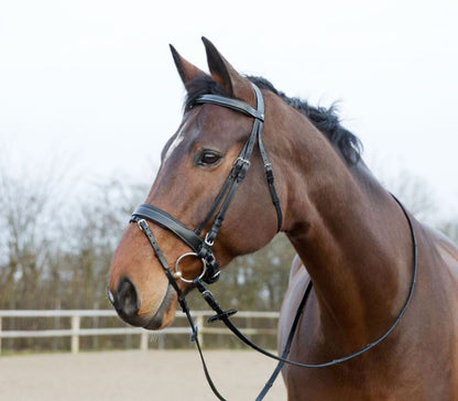 Horze Venice Bridle - EQ Saddlery