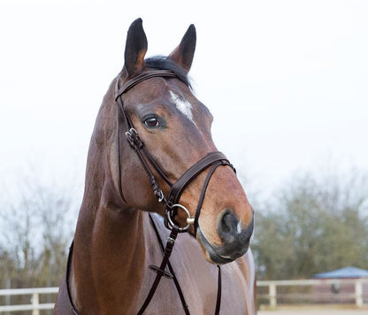 Horze Venice Bridle - EQ Saddlery