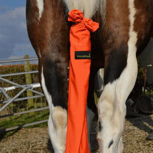 Horzehood Tail Bag - EQ Saddlery