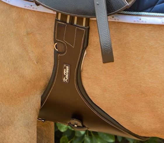 Kentaur Cassis Stud Girth