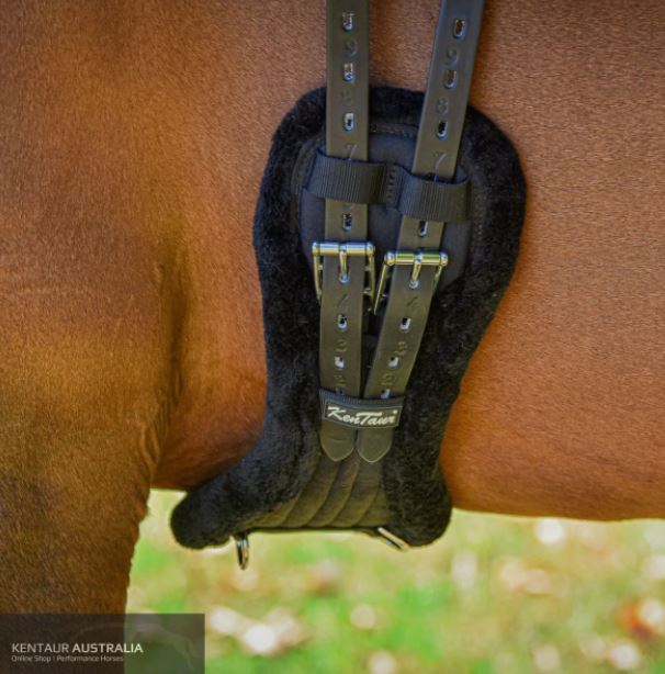 Kentaur Stockholm Dressage Girth