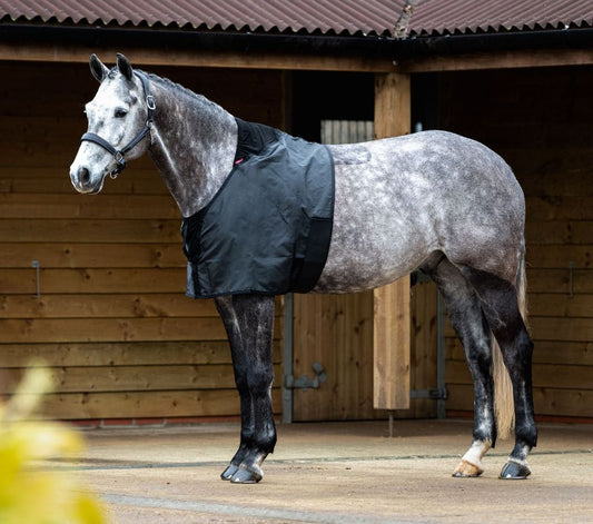 LeMieux Anti Rub Bib - EQ Saddlery
