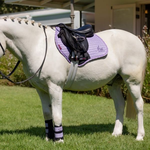 LeMieux Mini Suede Square Jump Saddle Pad