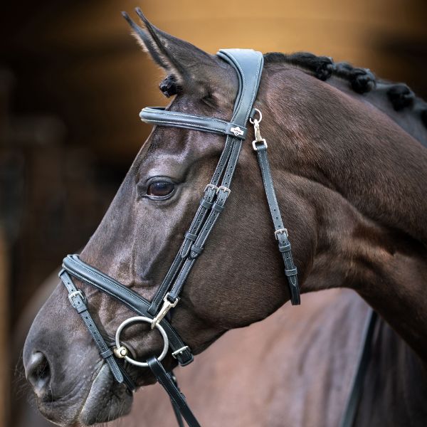 LeMieux Work Bridle - EQ Saddlery
