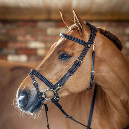 LeMieux Work Bridle - EQ Saddlery
