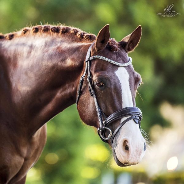 Lumiere Anastasia Bridle with Nappa Reins