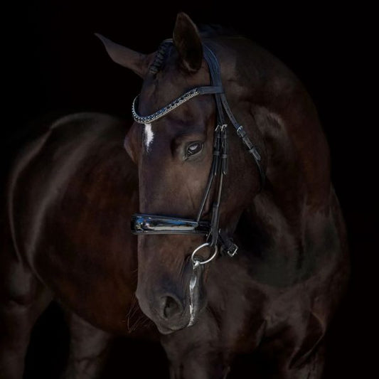 Lumiere Audrey Cavesson Bridle with Nappa Reins