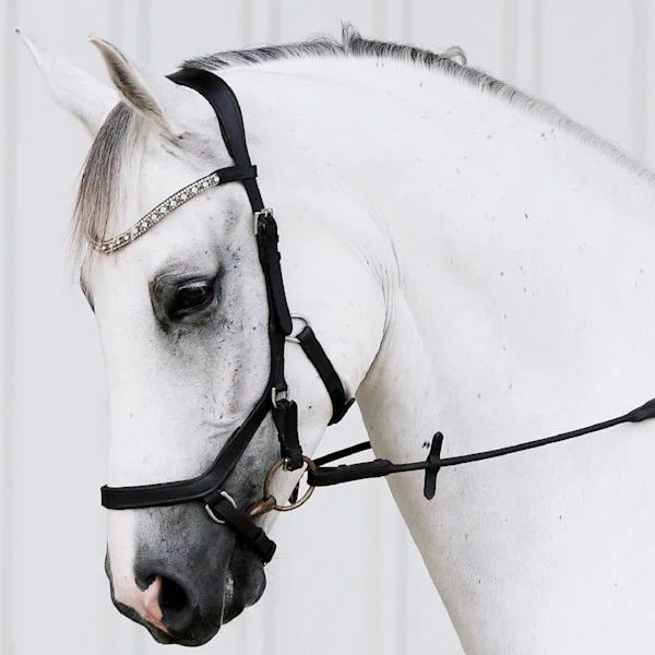 Lumiere Azure Anatomic Leather Bridle with Rubber Grip Reins