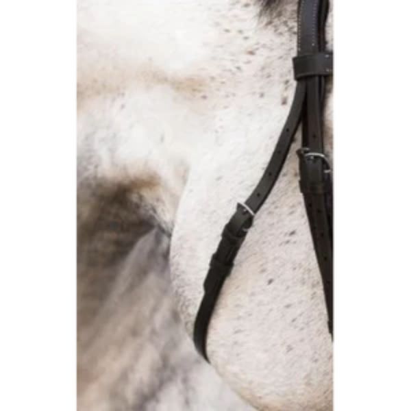 Lumiere Flat Throat Lash - EQ Saddlery