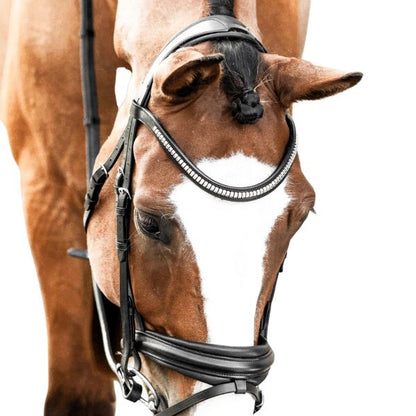 Lumiere Melodie Clincher Browband - EQ Saddlery
