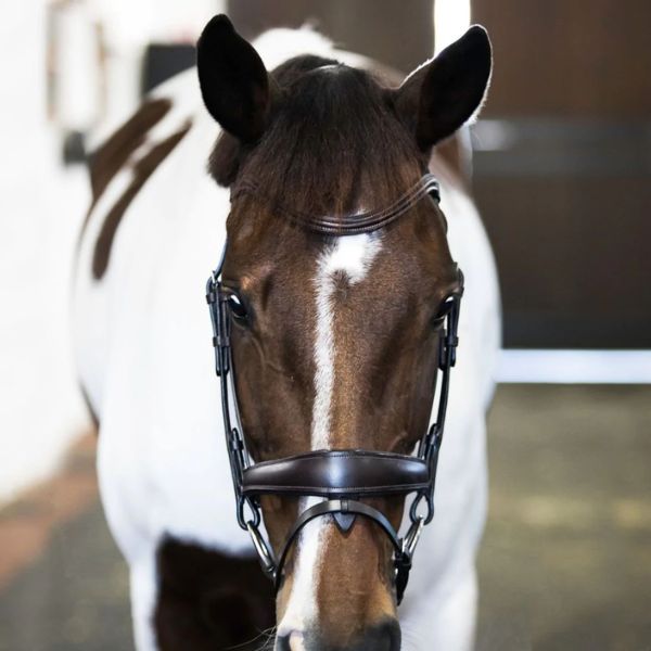 Lumiere Mikayla Convertible Bridle with Nappa Reins