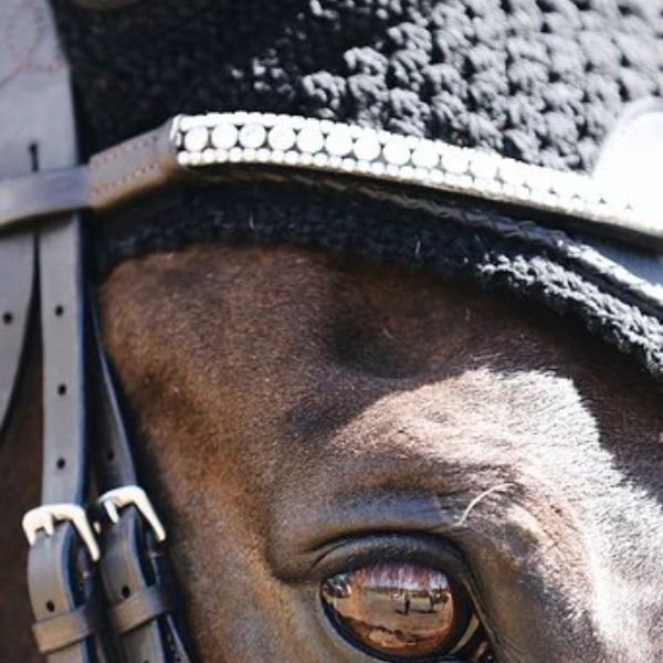 Lumiere Solitaire Crystal Browband
