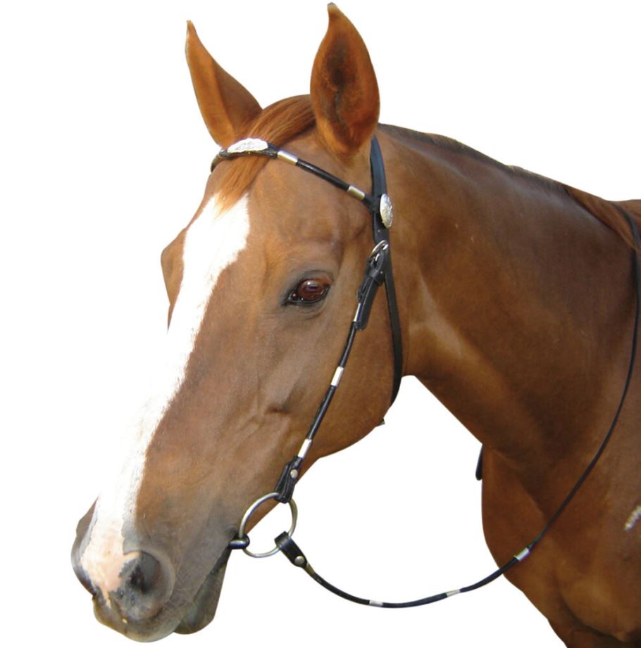 Navaho Poco Silver Ferrule Bridle