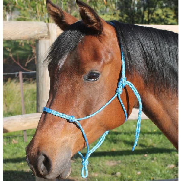 Nungar Knot Yachting Headstall 6mm