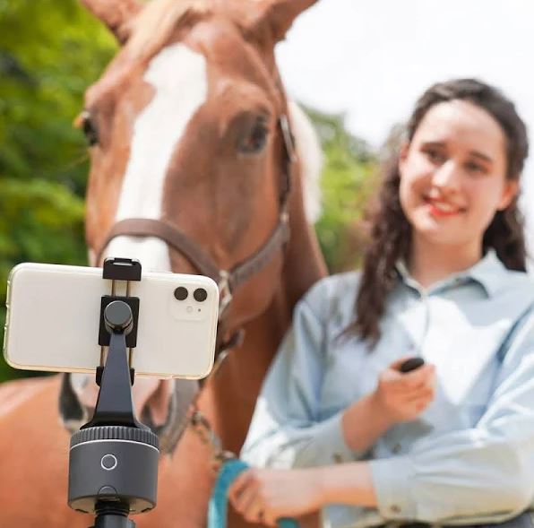 Pivo Active Starter Pack - EQ Saddlery