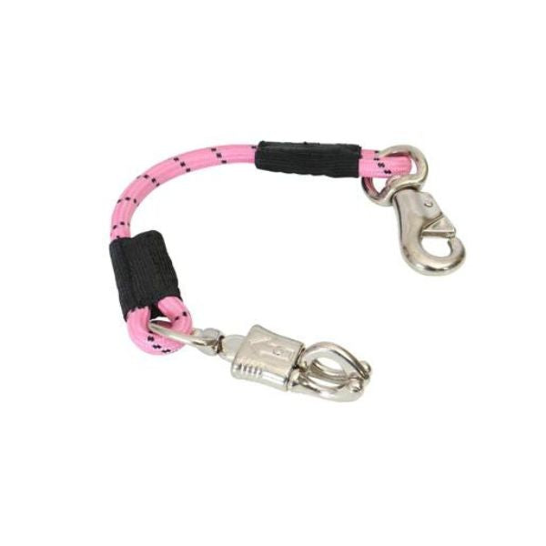 Bungee Trailer Tie