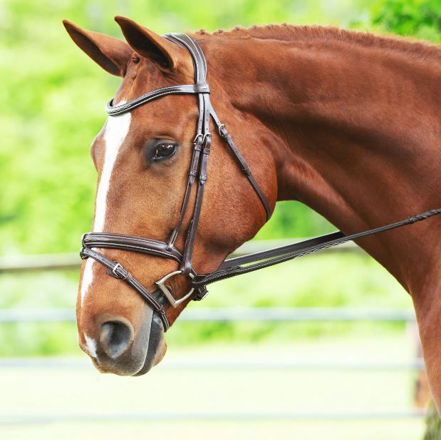 Schockemohle Tokyo Select Anatomical Bridle