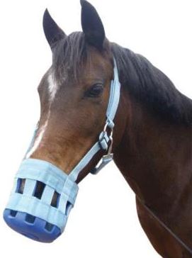 Showcraft Grazing Muzzle - EQ Saddlery