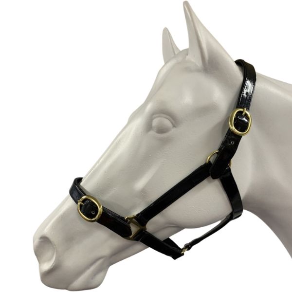 Showcraft PVC Brass Headcollar - EQ Saddlery