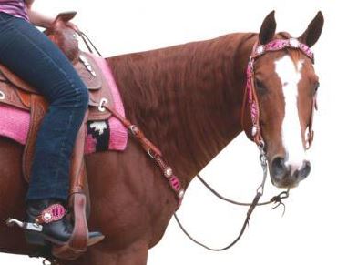 Navaho Zebra Western Bridle - EQ Saddlery