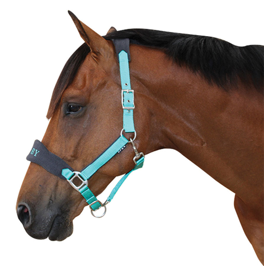 Derby Fleece Halter - EQ Saddlery