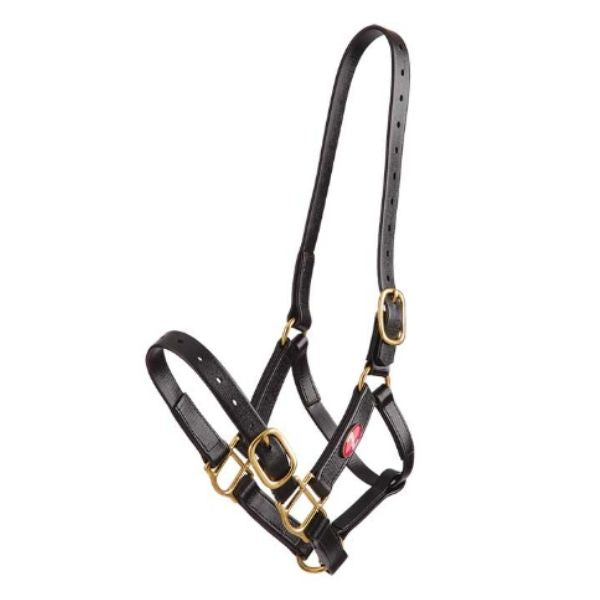 Zilco 25mm PN Headstall