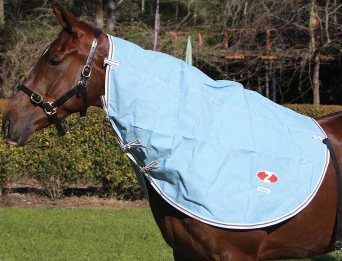 Zilco Rip Protector Rug Zilco Hamilton Rain Resistant Neck Rug – EQ Saddlery