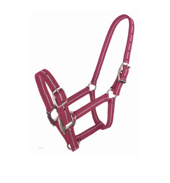Zilco Metallic Stripe Halter - EQ Saddlery