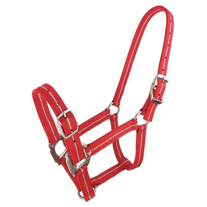 Zilco Metallic Stripe Halter - EQ Saddlery