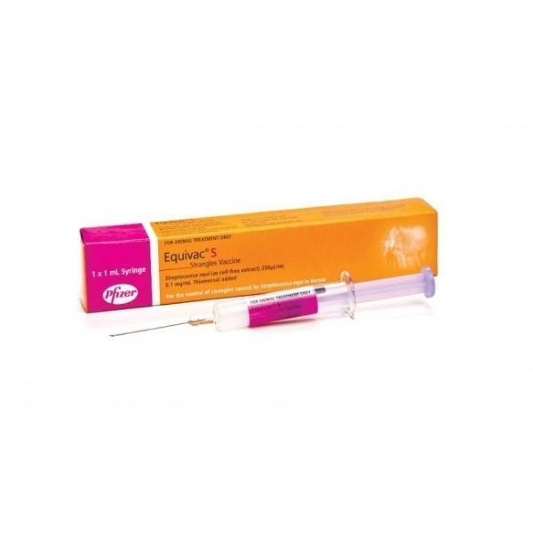 Zoetis Equivac Strangles Vaccine – EQ Saddlery